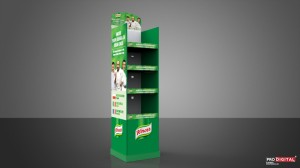 Knorr  
